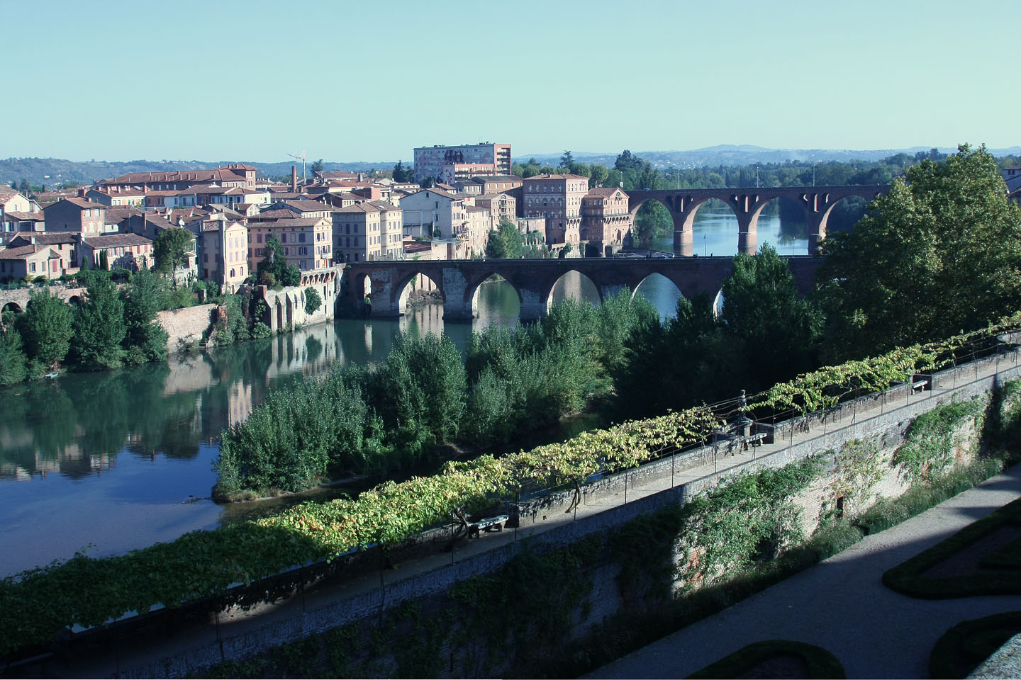 Albi